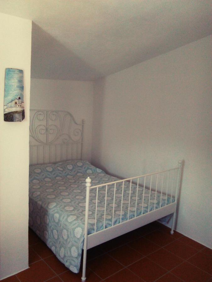Palheiros Da Ribeira Guest House Pracana Cimeira Екстериор снимка