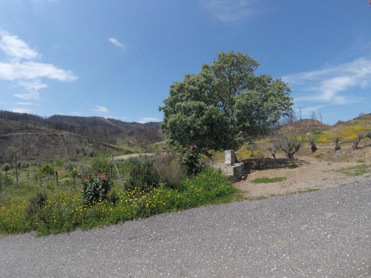 Palheiros Da Ribeira Guest House Pracana Cimeira Екстериор снимка